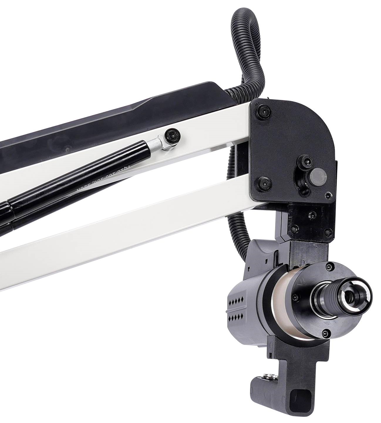 TME16-6HDhpPxL1ZiNko