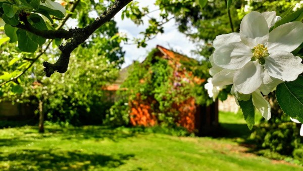 Gartenprojekte für den Frühling